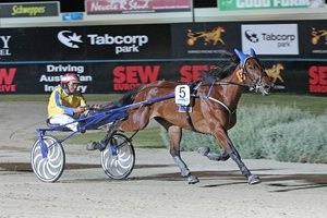 Spidergirl wins at Melton Tabcorp Park.