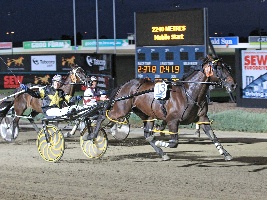 Champion pacer Caribbean Blaster with driver Kate Gath in the sulky. 