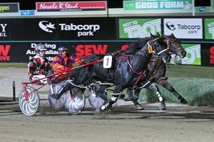 Greg Sugars, pictured here on American Muscle, was at it again yesterday, notching up winners at Warragul.