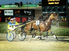 Exciting pacer Lennytheshark pictured winning a heat of the Victoria Derby last year for driver Chris Alford. 