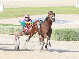 Brent Lilley managed to train both first and third in the Group 1 for the four-year-old squaregaiters.