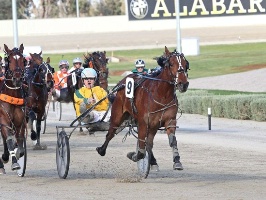 Whereibylong gets up in the 2013 Breeders Crown final for 2YO fillies. She's on track to don another Crown this year.