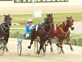 Luke McCarthy drives Ideal Scott to Breeders Crown success in 2013 - the NSW reinsman has several top Crown hopes again this year.