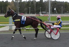 Inky Cullen was crowned last season's Warragul Horse of the Year.