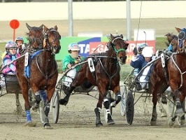 Zedalite got over the line in Wednesday's Hamilton Trotters Cup.