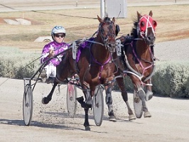 Luke McCarthy (pictured driving Bling It On) will be aboard Three Squared in Saturday night's APG Fillies Final. 