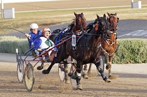 David Lewis's star pacer Abettorpunt ran third in the Swan Hill Cup of 2013. 