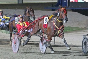 Inter Dominion heat winner Keayang Cullen won last year's Terang Cup and is nominated again this time around.