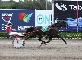 Inter Dominion defending champion Beautide draws well for next weekend's TAB.COM.AU Inter Dominion Grand Final at Tabcorp Park Menangle.