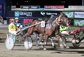 Last year's Country Cups horse of the year, Arber, will start in Sunday's Wangaratta Pacing Cup. 