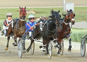 Mick Stanley trained-and-driven Hilltop Hustler will line up in the Ararat Pacing Cup on Saturday night. 