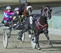 Top 2YO Padrisimo will miss the Breeders Crown heat tomorrow night at Shepparton with a cold. 