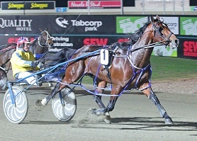 Lennytheshark is chasing a sixth successive win on Friday night at Tabcorp Park Melton.