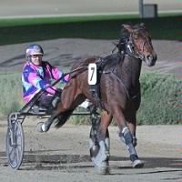 Brunelleschi and Amy Tubbs will team up again in Saturday night's Bendigo Bank Trotters Cup.