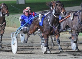 Im Barney Rubble wins at Melton on Friday night with Brian Gath in the sulky.