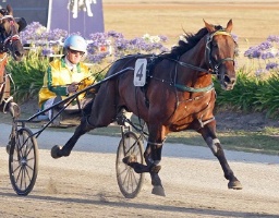 Guaranteed, who won the Swan Hill Pacing Cup, will be targeting the Kilmore feature this Sunday. 