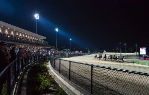 A big crowd watches the trots action at Tabcorp Park Melton.
