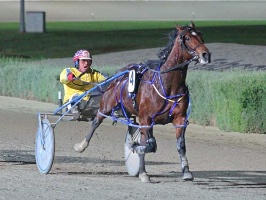 Lennytheshark is favourite for the Inter Dominion Grand Final. 