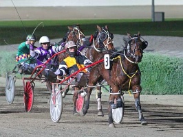 Leading the way for the Aussies in the 2YO girls' Breeders Crown section is flying filly Niki No No. 