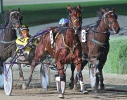 Bruce Harpley steers Frith to victory at Tabcorp Park Melton. 