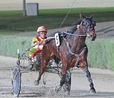 Asoka kicks clear for a strong win at Melton. Trainer/driver Alison Chisholm drove a winning double at Tabcorp Park.