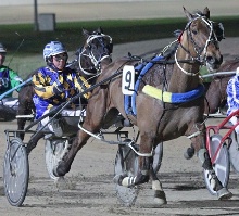 Alex Ashwood guides Inky Cullen to victory at Tabcorp Park Melton. 