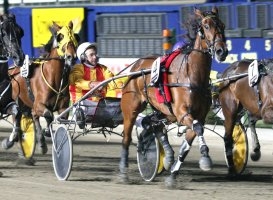 Daryl Woolcock was an Eddie Evison Memorial Trotters Cup winner with Pepperell Dancer in 2008.