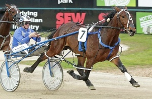 Mark Purdon and Follow The Stars win their Breeders Crown final easily. 