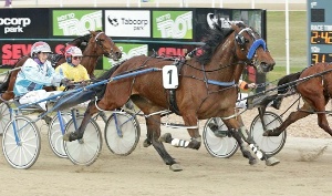 Amanda Turnbull and Just Cala flash home to take out Sunday's 3YO fillies Breeders Crown Final.