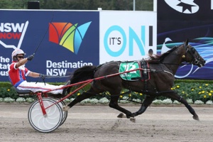 Beautide - 2015 Australian Harness Horse of the Year