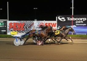 Iam Mr Brightside, a graduate of the 2YO Trialling Sale at Tabcorp Park, Menangle, wins a Group event there.