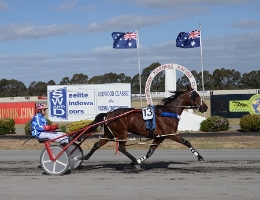Im Corzin Terror coasts to the line in first place on Sunday at Maryborough with Chris Alford in the cart. 