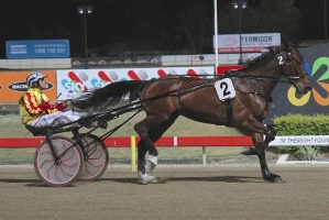 The Ian Gurney trained Avonnova lines up in the 2014 Miracle Mile 