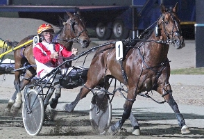 Bitobliss and trainer/driver Scott Stewart take out the Smoken Up Sprint at Melton. 