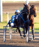 For A Reason earns invitation to the 2014 SEW Eurodrive Miracle Mile. 