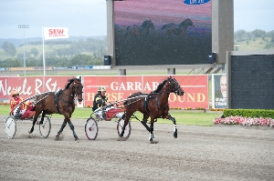 Prompted by a galloping pacemaker, Zenable, later to run 1:51.2, finishes off her trial at Tabcorp Park, Menangle.