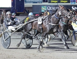 Ultra-fast Franco Ledger will be driven by Anthony Butt in its Inter Dominion heat tomorrow night. 
