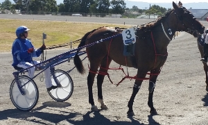 Narra Operative pictured at Stawell with Kerryn Manning after winning the 2015 Huugain Feeds Stawell Pacing Cup. 