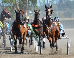 Trotters will still have a race on Inter Dominion Grand Final Day at Tabcorp Park Menangle on March 1.