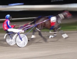 Arden Rooney at top speed in tonight's Geelong Pacing Cup. Going so fast he blurred this shot! 