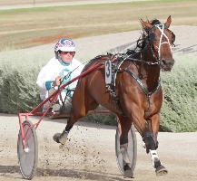 Our Twentyten wins on Great Southern Star night for Brent Lilley and Rodney Petroff.