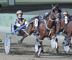 Classy Guy and Greg Sugars sprint up the straight at Melton. 