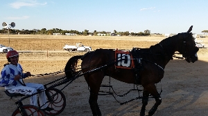 Michael Bellman and Uncle Wingnut after victory in the Ouyen Pacing Cup. 