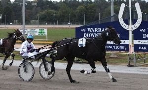 Hectorjayjay won the Warragul Pacing Cup for his proud owners.