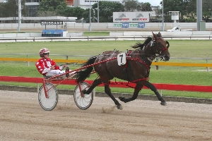 Flying: Bettor Draw tackles the Gr.1 Len Smith Mile at Menangle this Sunday