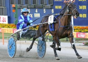 Ananz bounced back from her first defeat on Friday night to win Sunday's NSW Sires Stakes final at Menangle