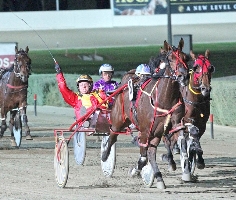 Jason Lee celebrates as Jilliby Jitterbug scorches across the line in the APG Fillies Final at Melton. 