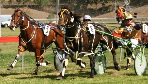 Grass track harness racing in Queensland