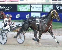 Chris Alford will have Dancingwithsierra, trained by Gary Hoban (pictured), primed for more success at Melton tonight.