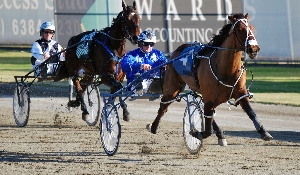 Another Group One win for Mark Purdon pictured here with Supersonic Miss at Tabcorp Park Menangle on Sunday.